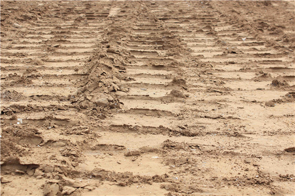 Betway������(����ķ��)�ٷ���վ-Official website