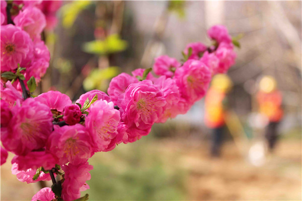 Betway������(����ķ��)�ٷ���վ-Official website